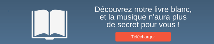 Livre Blanc musique-liege.be